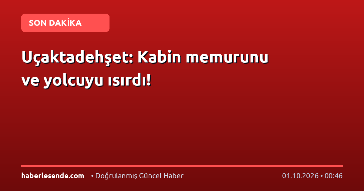 Uçaktadehşet: Kabin memurunu ve yolcuyu ısırdı!