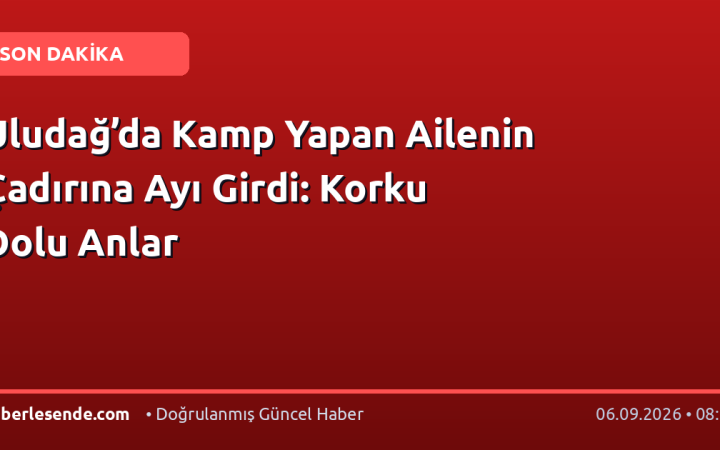 Uludağ’da Kamp Yapan Ailenin Çadırına Ayı Girdi: Korku Dolu Anlar