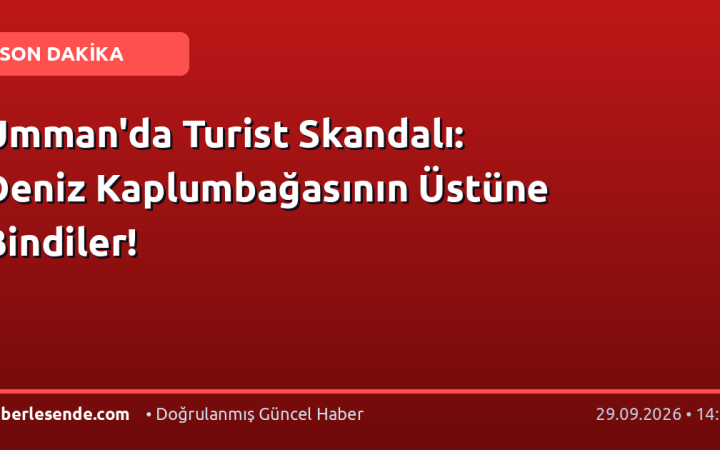Umman'da Turist Skandalı: Deniz Kaplumbağasının Üstüne Bindiler!