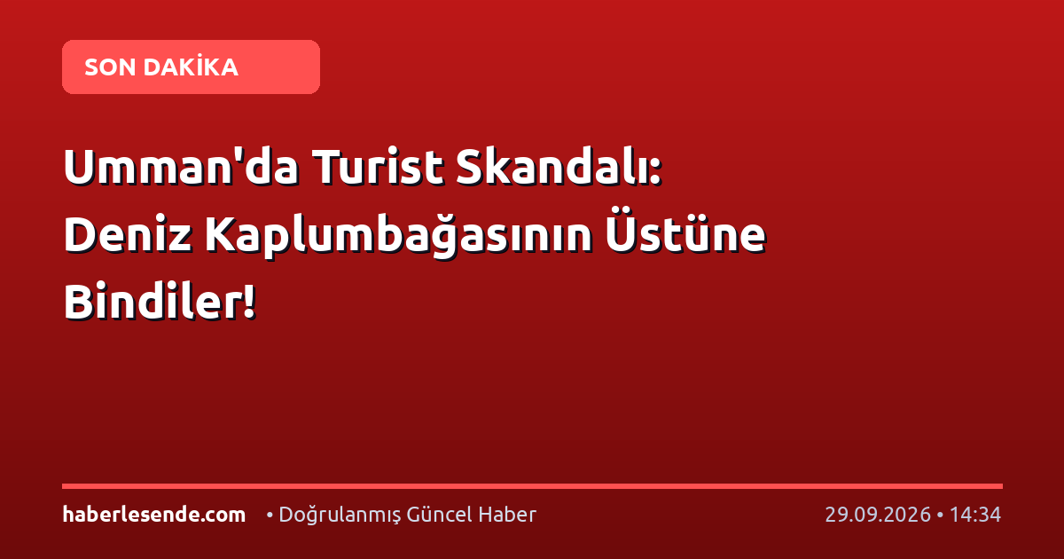 Umman'da Turist Skandalı: Deniz Kaplumbağasının Üstüne Bindiler!