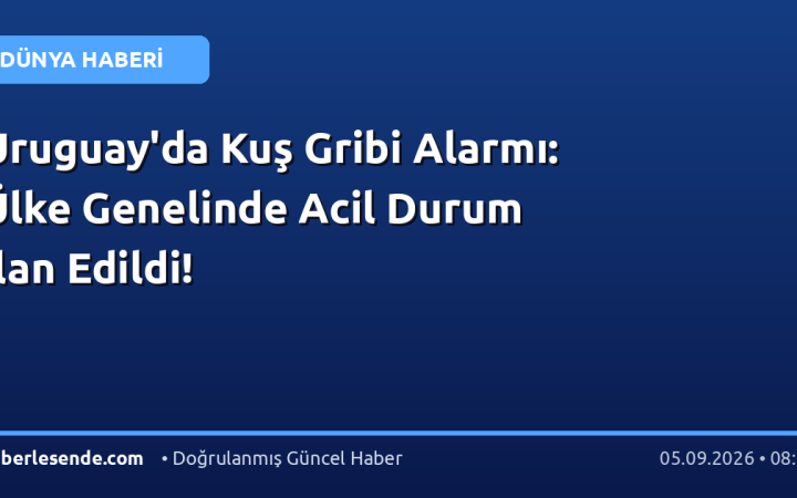 Uruguay'da Kuş Gribi Alarmı: Ülke Genelinde Acil Durum İlan Edildi!