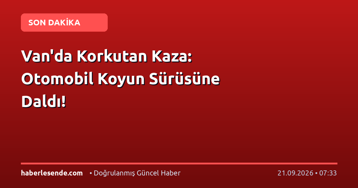 Van'da Korkutan Kaza: Otomobil Koyun Sürüsüne Daldı!