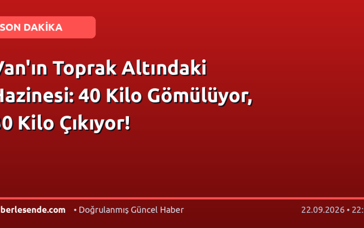 Van'ın Toprak Altındaki Hazinesi: 40 Kilo Gömülüyor, 30 Kilo Çıkıyor!