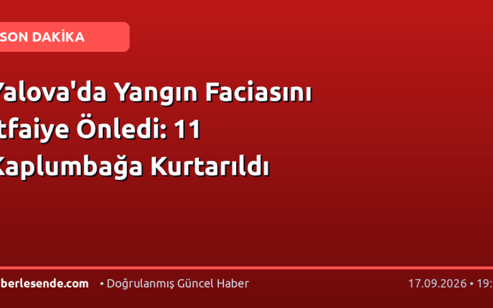 Yalova'da Yangın Faciasını İtfaiye Önledi: 11 Kaplumbağa Kurtarıldı
