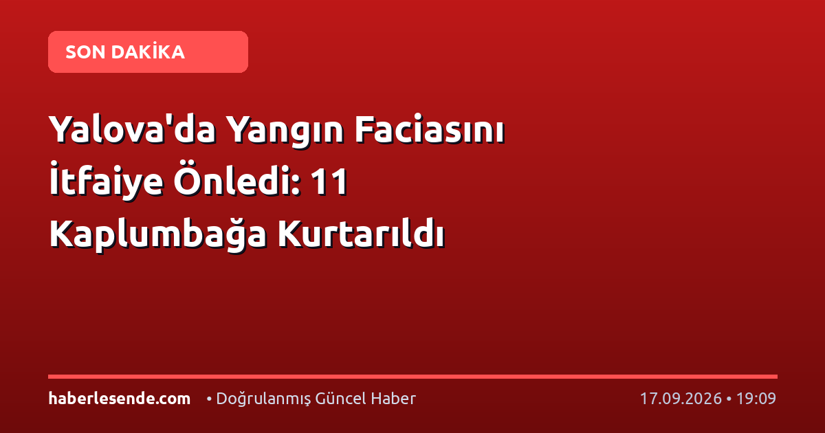 Yalova'da Yangın Faciasını İtfaiye Önledi: 11 Kaplumbağa Kurtarıldı