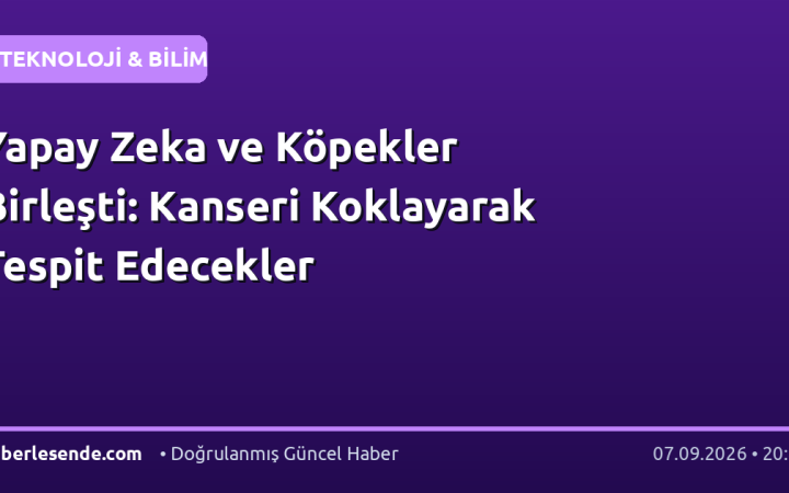 Yapay Zeka ve Köpekler Birleşti: Kanseri Koklayarak Tespit Edecekler