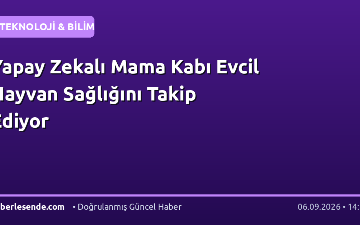 Yapay Zekalı Mama Kabı Evcil Hayvan Sağlığını Takip Ediyor