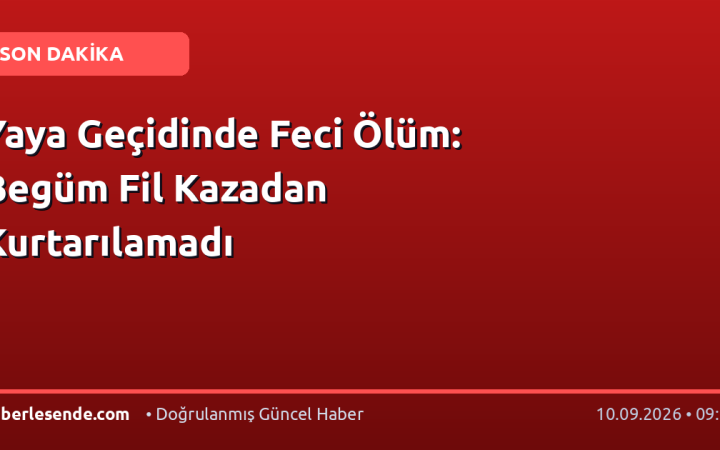 Yaya Geçidinde Feci Ölüm: Begüm Fil Kazadan Kurtarılamadı