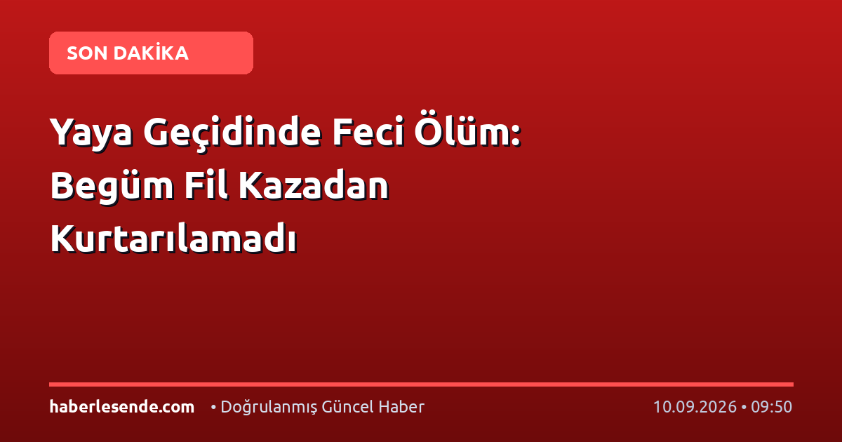 Yaya Geçidinde Feci Ölüm: Begüm Fil Kazadan Kurtarılamadı