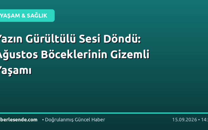 Yazın Gürültülü Sesi Döndü: Ağustos Böceklerinin Gizemli Yaşamı