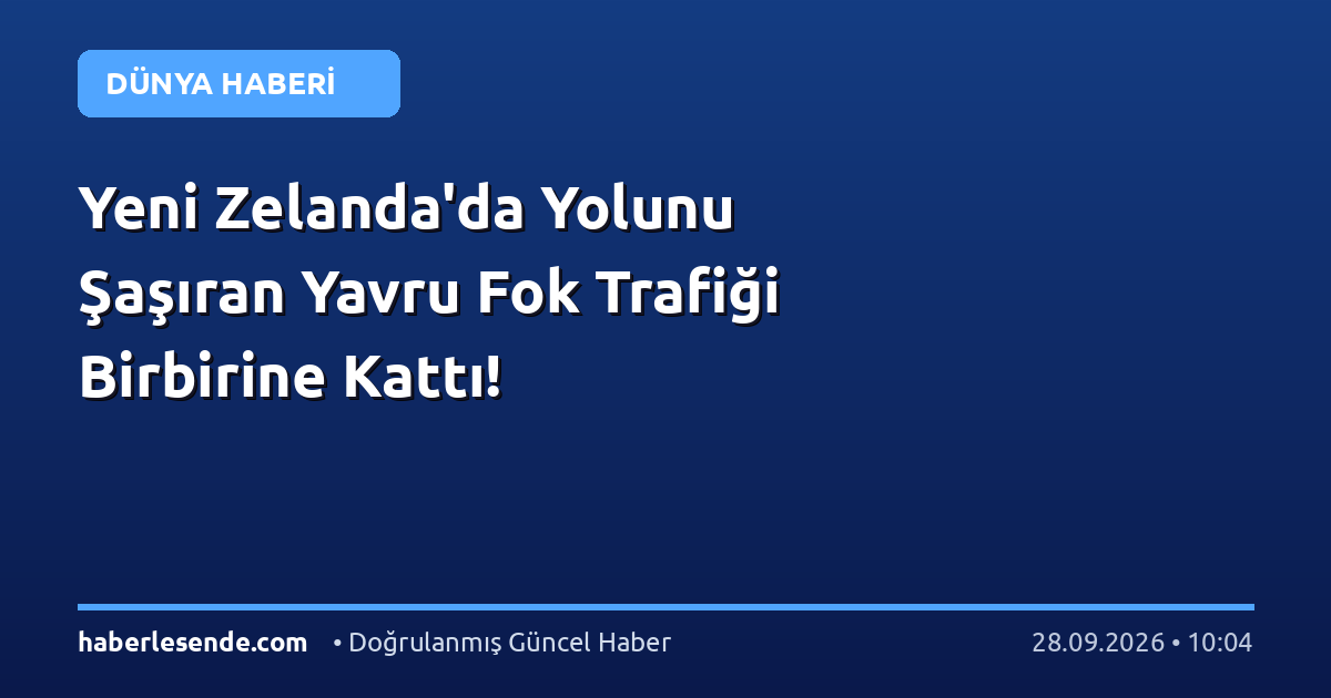 Yeni Zelanda'da Yolunu Şaşıran Yavru Fok Trafiği Birbirine Kattı!