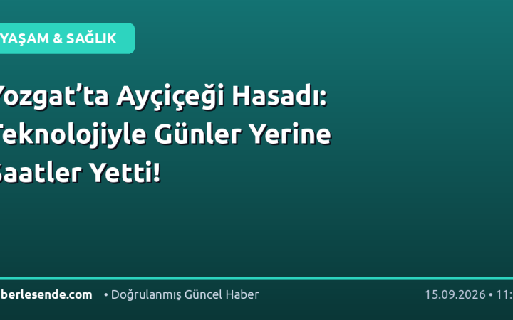 Yozgat’ta Ayçiçeği Hasadı: Teknolojiyle Günler Yerine Saatler Yetti!