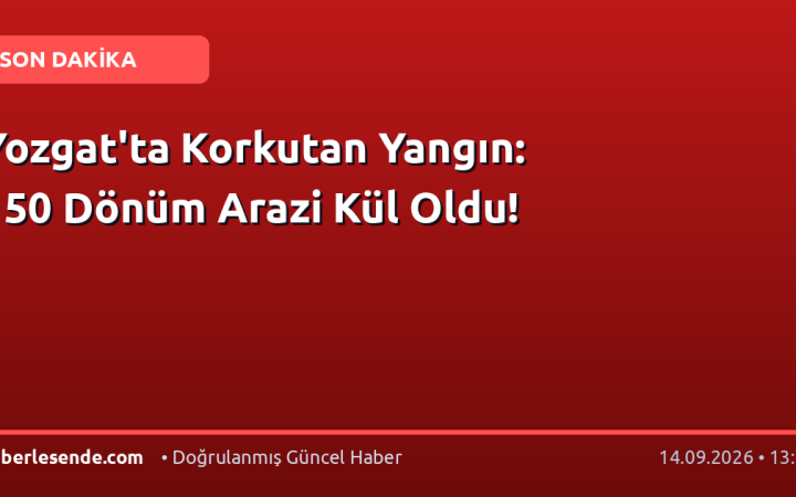 Yozgat'ta Korkutan Yangın: 150 Dönüm Arazi Kül Oldu!