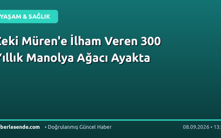 Zeki Müren'e İlham Veren 300 Yıllık Manolya Ağacı Ayakta