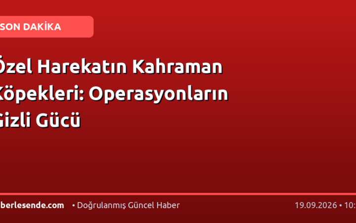 Özel Harekatın Kahraman Köpekleri: Operasyonların Gizli Gücü
