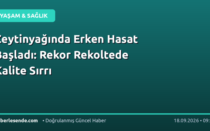 Zeytinyağında Erken Hasat Başladı: Rekor Rekoltede Kalite Sırrı