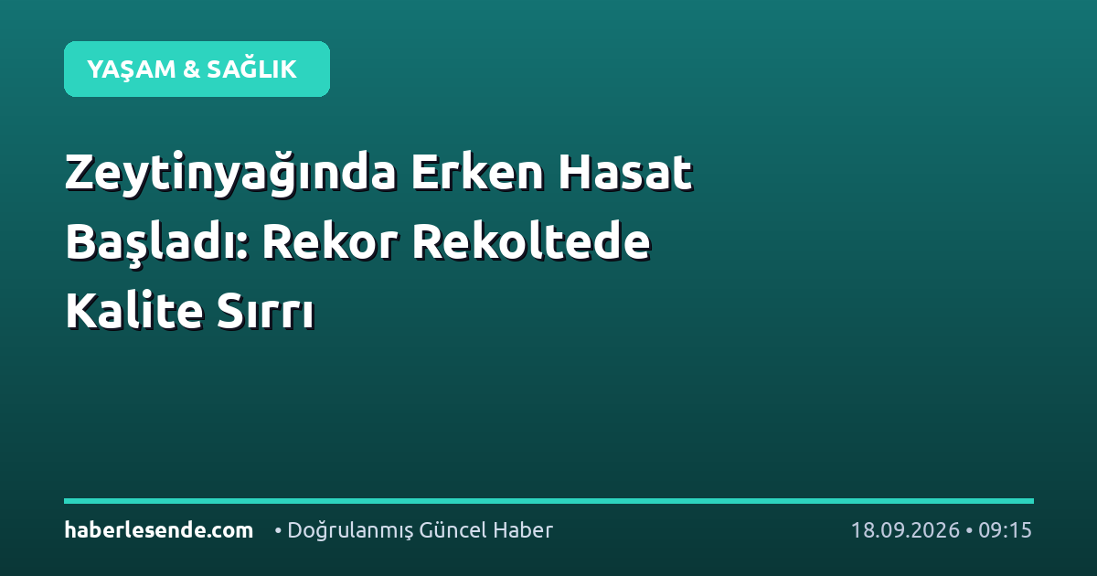 Zeytinyağında Erken Hasat Başladı: Rekor Rekoltede Kalite Sırrı