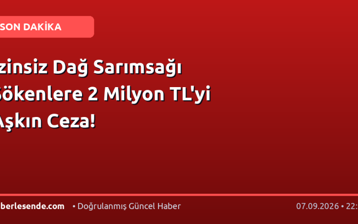 İzinsiz Dağ Sarımsağı Sökenlere 2 Milyon TL'yi Aşkın Ceza!