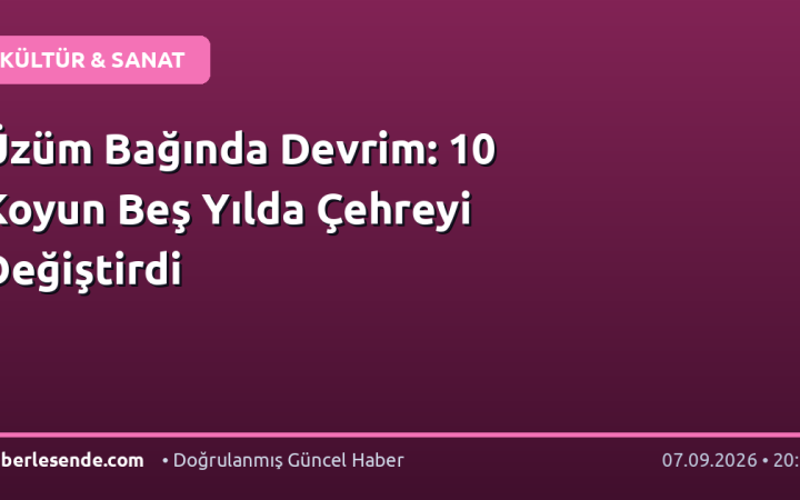 Üzüm Bağında Devrim: 10 Koyun Beş Yılda Çehreyi Değiştirdi