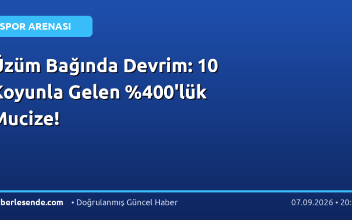 Üzüm Bağında Devrim: 10 Koyunla Gelen 0'lük Mucize!