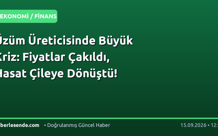 Üzüm Üreticisinde Büyük Kriz: Fiyatlar Çakıldı, Hasat Çileye Dönüştü!