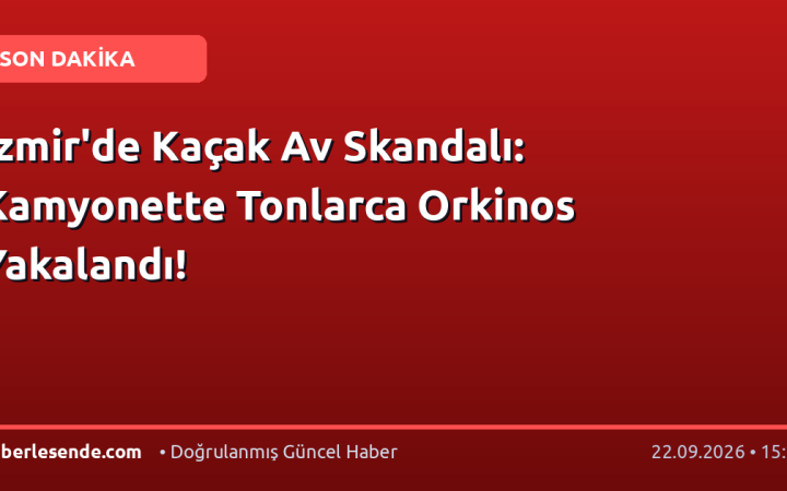 İzmir'de Kaçak Av Skandalı: Kamyonette Tonlarca Orkinos Yakalandı!