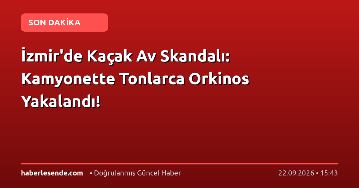 İzmir'de Kaçak Av Skandalı: Kamyonette Tonlarca Orkinos Yakalandı!