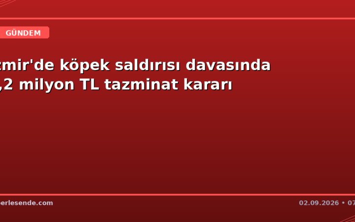 İzmir'de köpek saldırısı davasında 1,2 milyon TL tazminat kararı