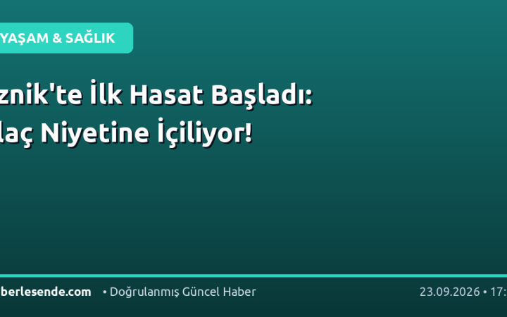 İznik'te İlk Hasat Başladı: İlaç Niyetine İçiliyor!