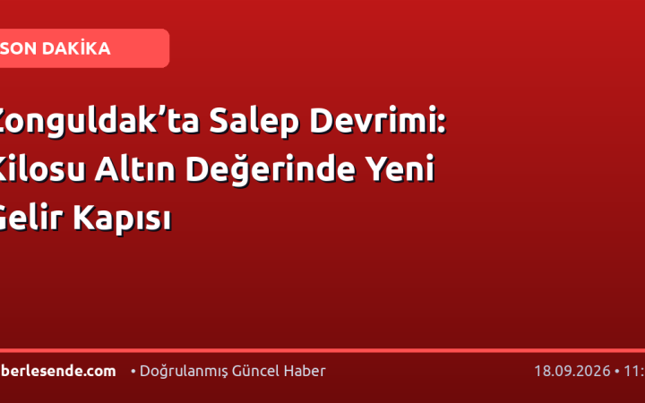 Zonguldak’ta Salep Devrimi: Kilosu Altın Değerinde Yeni Gelir Kapısı