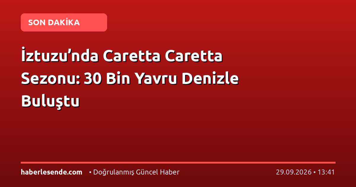 İztuzu’nda Caretta Caretta Sezonu: 30 Bin Yavru Denizle Buluştu