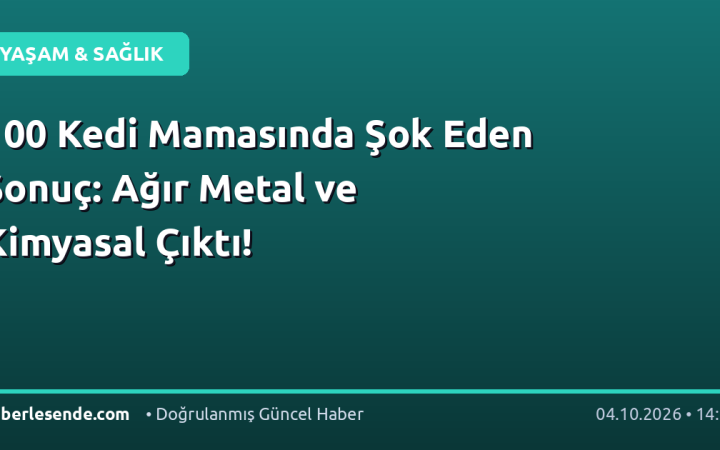 100 Kedi Mamasında Şok Eden Sonuç: Ağır Metal ve Kimyasal Çıktı!