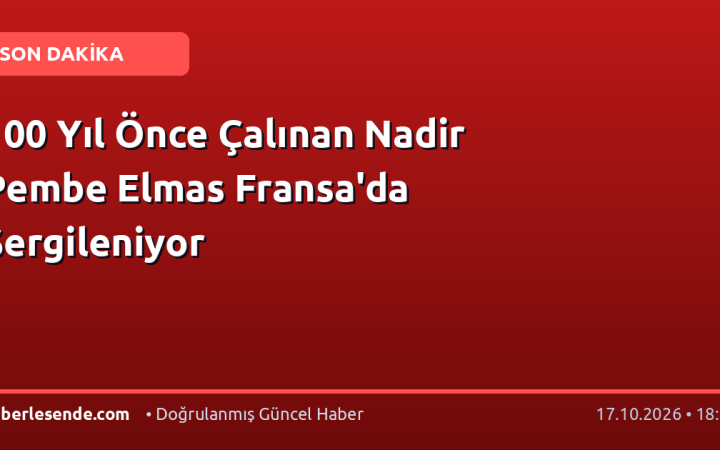 100 Yıl Önce Çalınan Nadir Pembe Elmas Fransa'da Sergileniyor