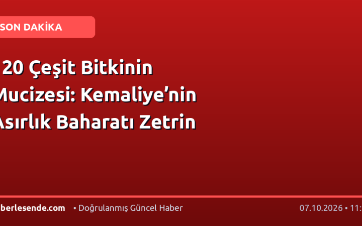 120 Çeşit Bitkinin Mucizesi: Kemaliye’nin Asırlık Baharatı Zetrin