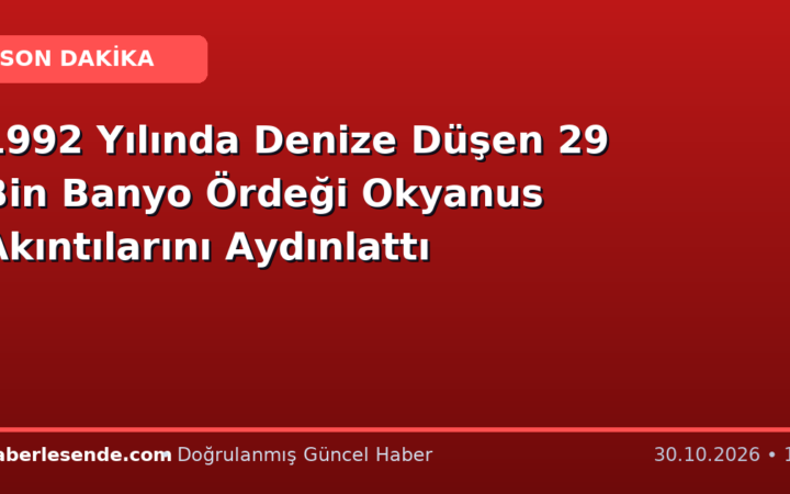 1992 Yılında Denize Düşen 29 Bin Banyo Ördeği Okyanus Akıntılarını Aydınlattı