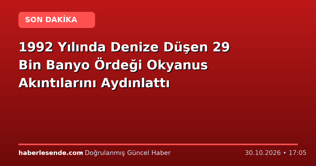1992 Yılında Denize Düşen 29 Bin Banyo Ördeği Okyanus Akıntılarını Aydınlattı