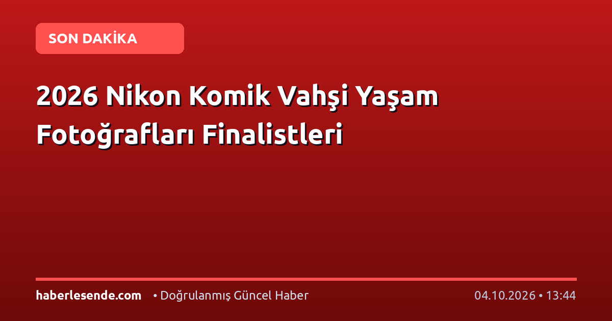 2026 Nikon Komik Vahşi Yaşam Fotoğrafları Finalistleri