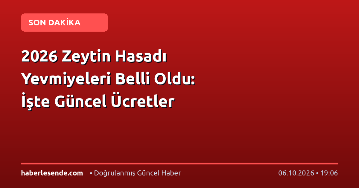 2026 Zeytin Hasadı Yevmiyeleri Belli Oldu: İşte Güncel Ücretler