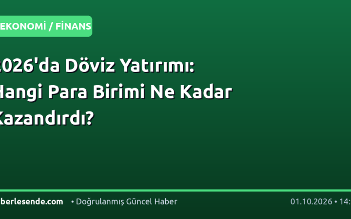 2026'da Döviz Yatırımı: Hangi Para Birimi Ne Kadar Kazandırdı?