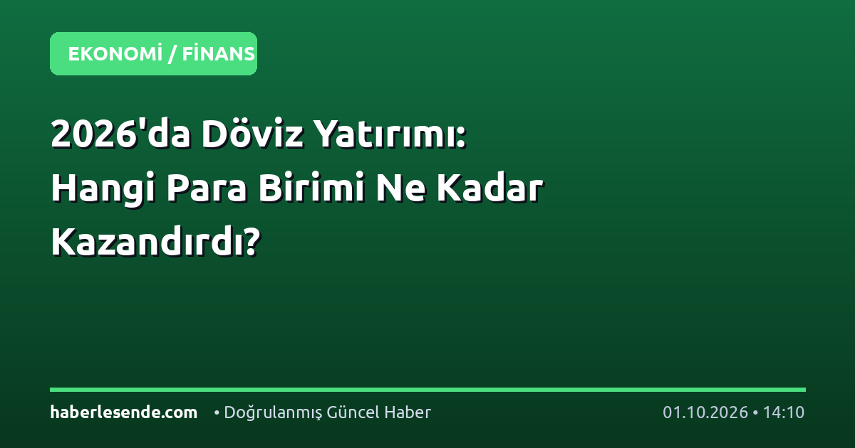 2026'da Döviz Yatırımı: Hangi Para Birimi Ne Kadar Kazandırdı?