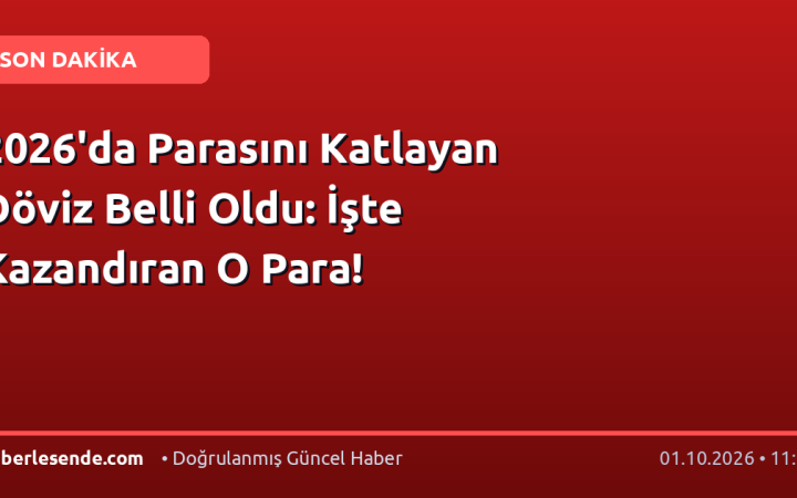 2026'da Parasını Katlayan Döviz Belli Oldu: İşte Kazandıran O Para!