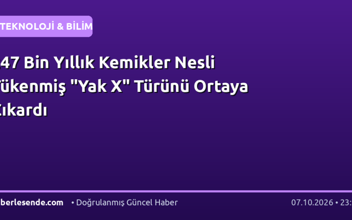 247 Bin Yıllık Kemikler Nesli Tükenmiş "Yak X" Türünü Ortaya Çıkardı