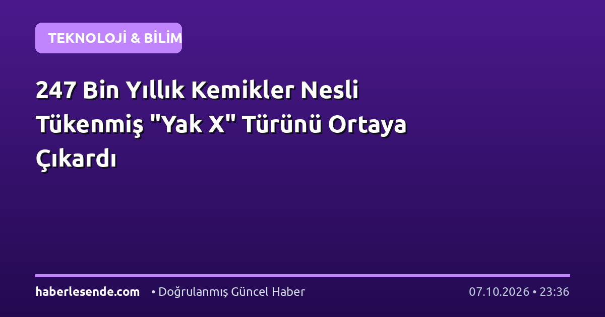 247 Bin Yıllık Kemikler Nesli Tükenmiş "Yak X" Türünü Ortaya Çıkardı