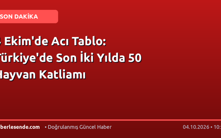 4 Ekim'de Acı Tablo: Türkiye'de Son İki Yılda 50 Hayvan Katliamı