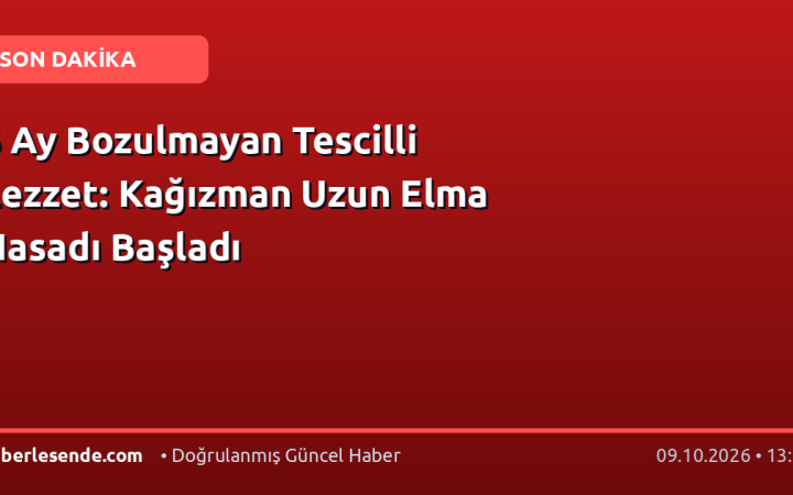 6 Ay Bozulmayan Tescilli Lezzet: Kağızman Uzun Elma Hasadı Başladı