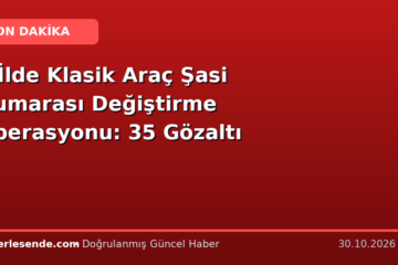 6 İlde Klasik Araç Şasi Numarası Değiştirme Operasyonu: 35 Gözaltı