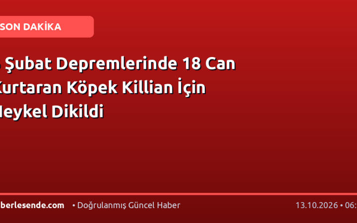 6 Şubat Depremlerinde 18 Can Kurtaran Köpek Killian İçin Heykel Dikildi
