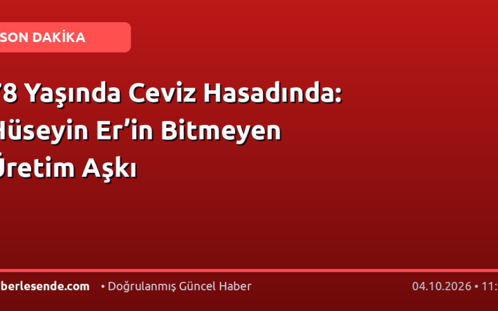 78 Yaşında Ceviz Hasadında: Hüseyin Er’in Bitmeyen Üretim Aşkı