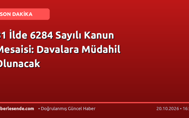 81 İlde 6284 Sayılı Kanun Mesaisi: Davalara Müdahil Olunacak