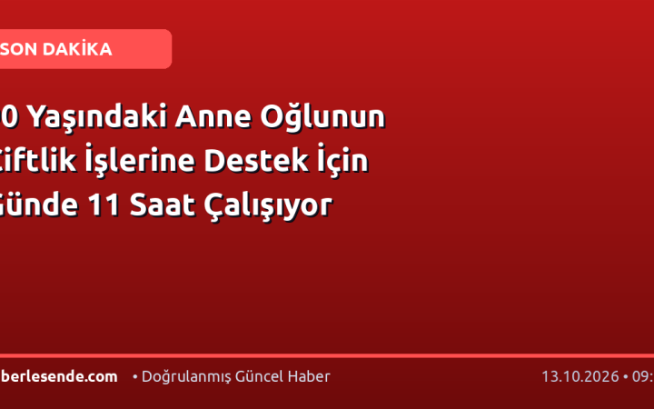 90 Yaşındaki Anne Oğlunun Çiftlik İşlerine Destek İçin Günde 11 Saat Çalışıyor